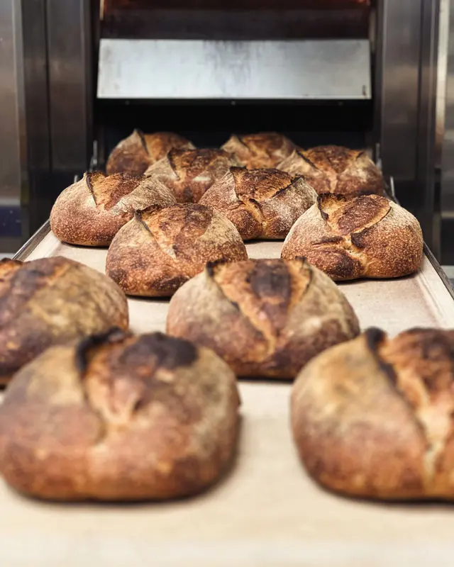 Fresh sourdough loaves cooling in the bakery oven in Simi Valley